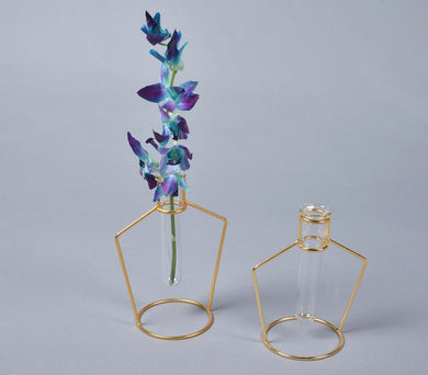 Bottle-Shaped Metal & Glass test tube Planter Vases (set of 2)-0
