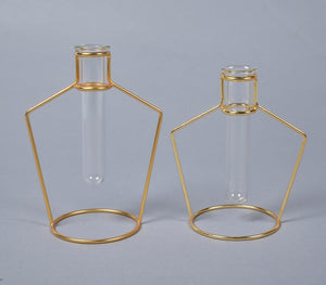 Bottle-Shaped Metal & Glass test tube Planter Vases (set of 2)-1
